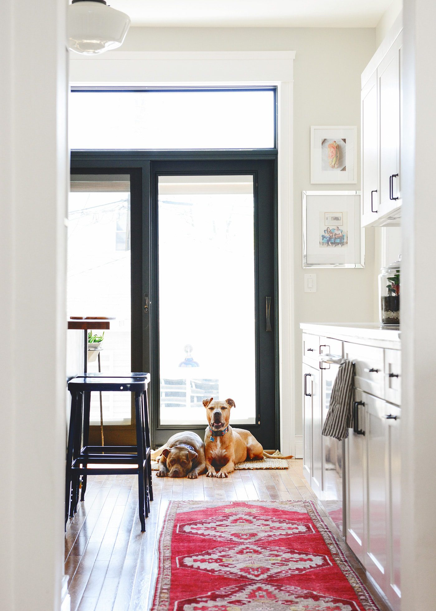 How We Keep a (Mostly) Clean and Healthy Pet-Friendly Home