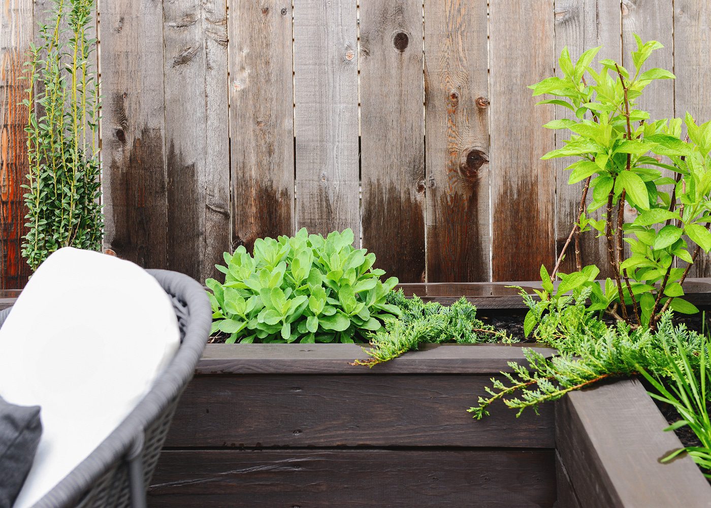 Our Planter Boxes: After a Chicago Winter
